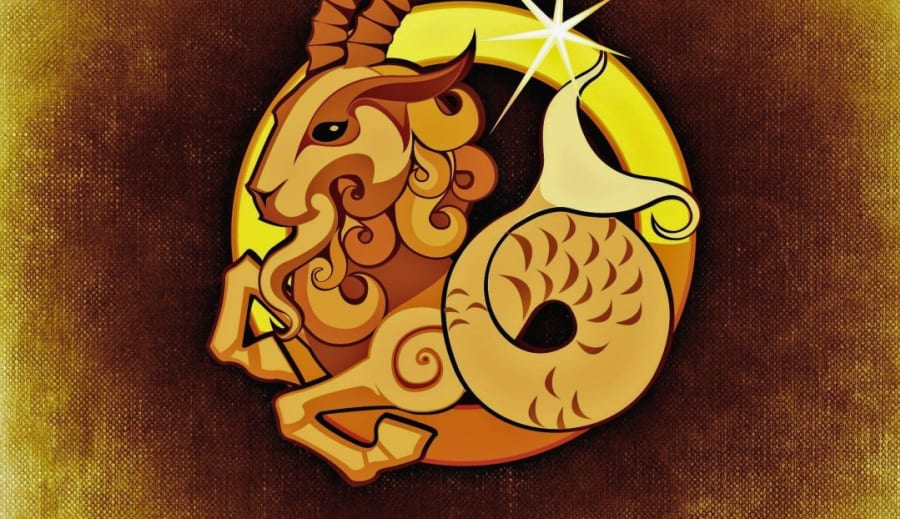 Spåtantens hemliga värld